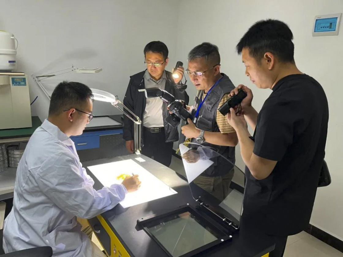 2024年新華社貴州分社舉行簽約攝影師走進“古韻思州·稻香岑鞏”助力鄉(xiāng)村振興宣傳活動