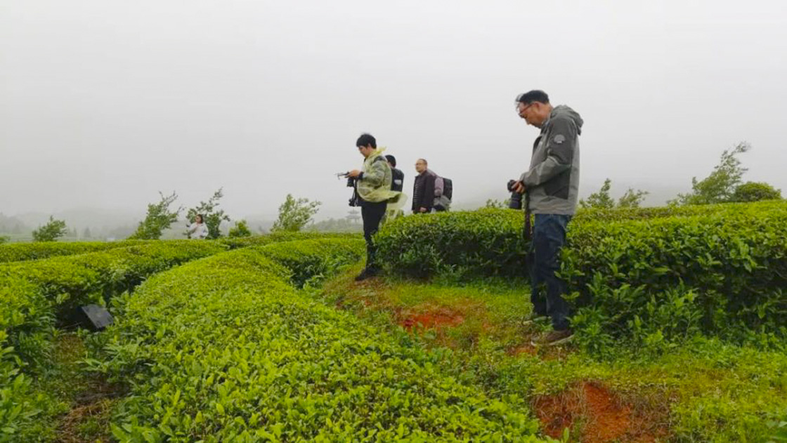 2024年新華社貴州分社舉行簽約攝影師走進“古韻思州·稻香岑鞏”助力鄉(xiāng)村振興宣傳活動