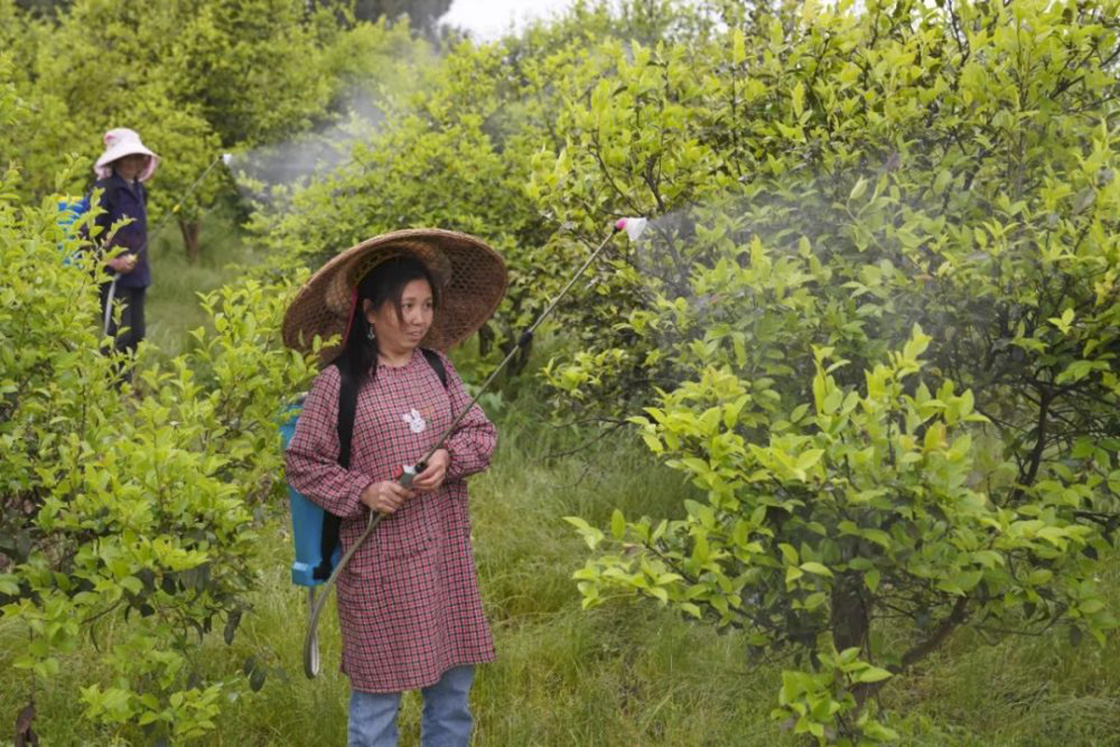 2024年新華社貴州分社舉行簽約攝影師走進“古韻思州·稻香岑鞏”助力鄉(xiāng)村振興宣傳活動