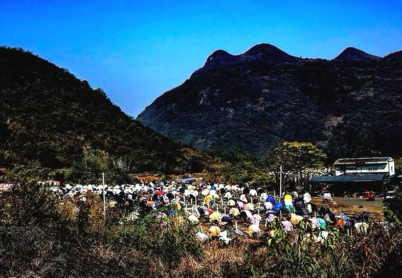 馭光捕影，攝影人永恒的追求