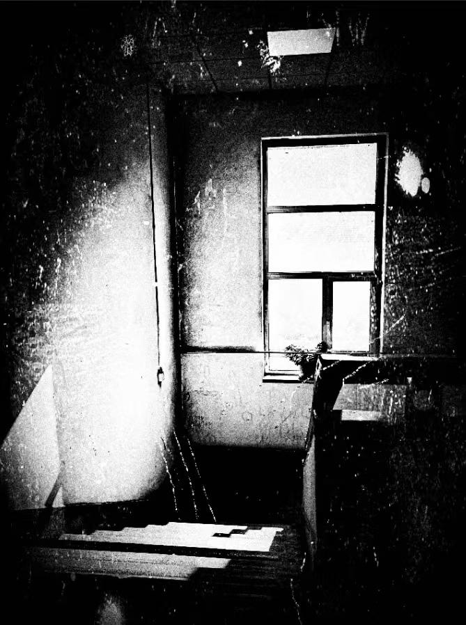 馭光捕影，攝影人永恒的追求