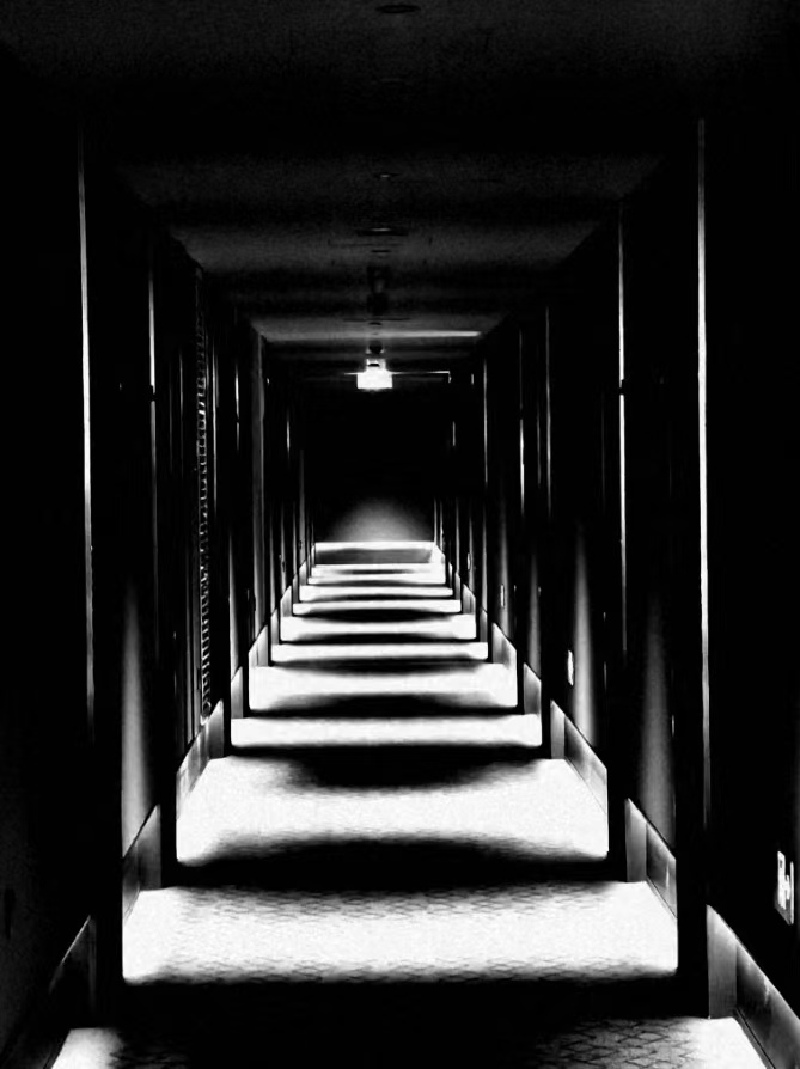 馭光捕影，攝影人永恒的追求