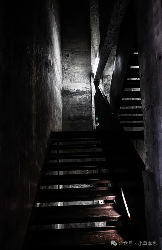 馭光捕影，攝影人永恒的追求