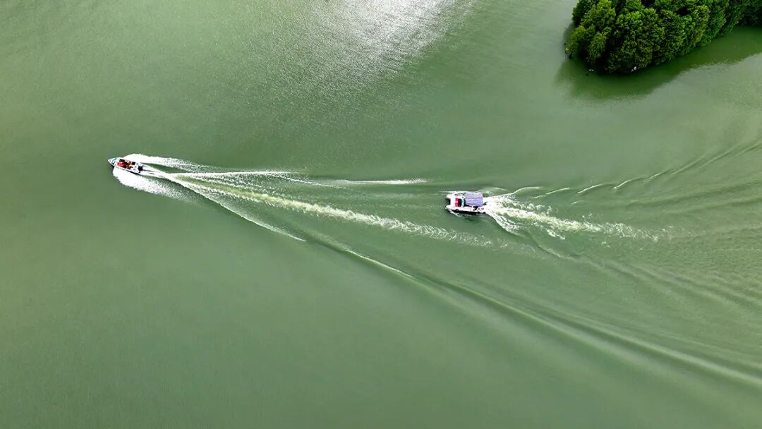 用“理論強(qiáng)基+案例研討+實(shí)踐淬煉”強(qiáng)“四力”