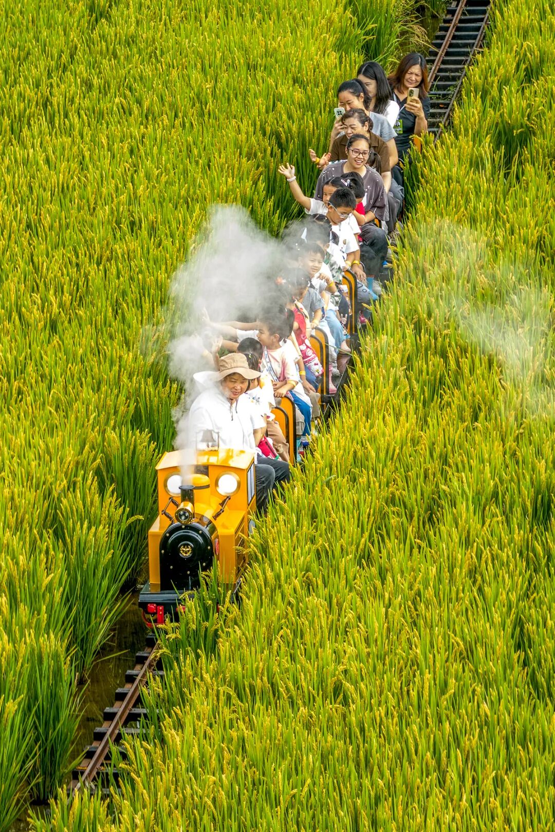 用“理論強(qiáng)基+案例研討+實(shí)踐淬煉”強(qiáng)“四力”