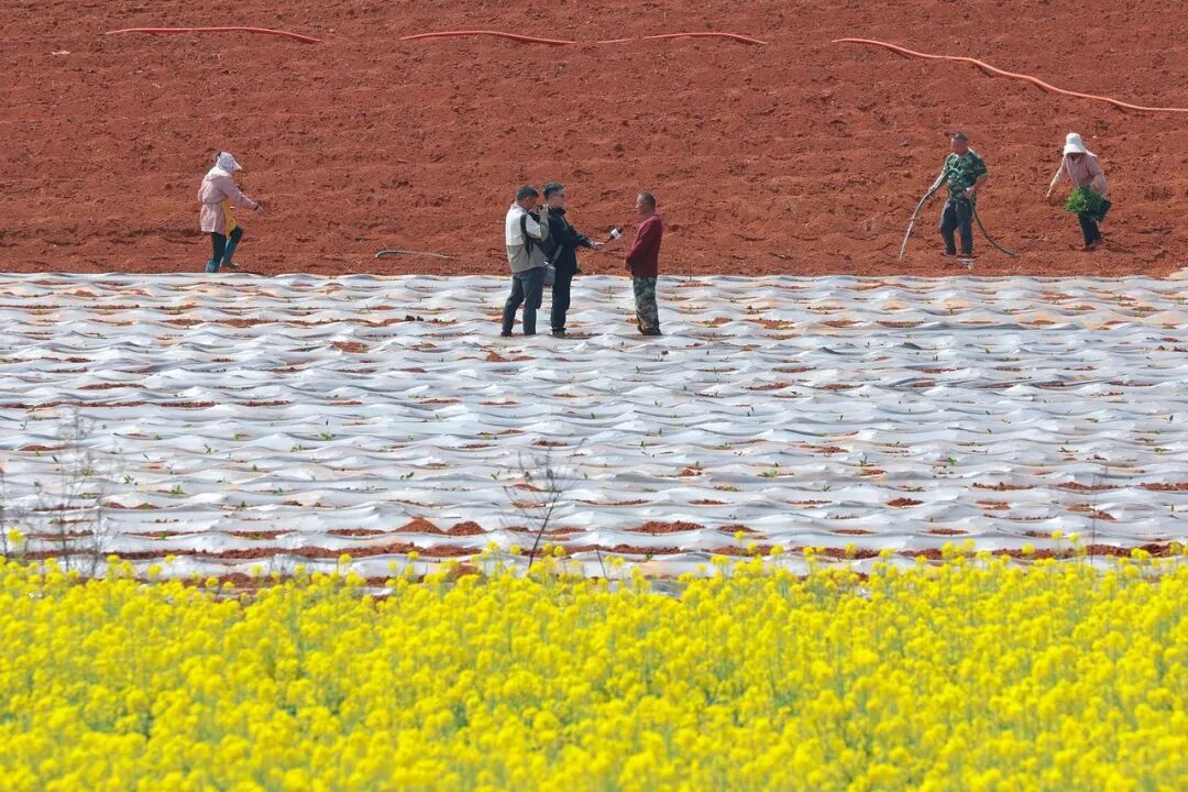 我是記者·我在現場｜工人日報視覺視頻部2025記者節(jié)特別策劃