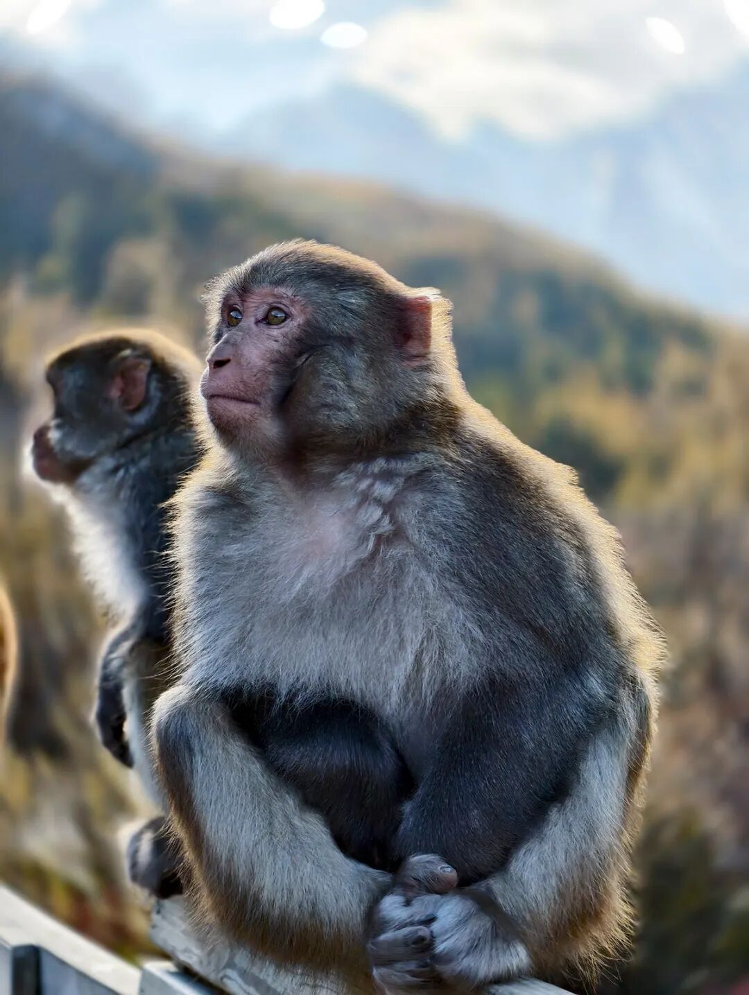 穿越冰峰 遇見稻城亞丁