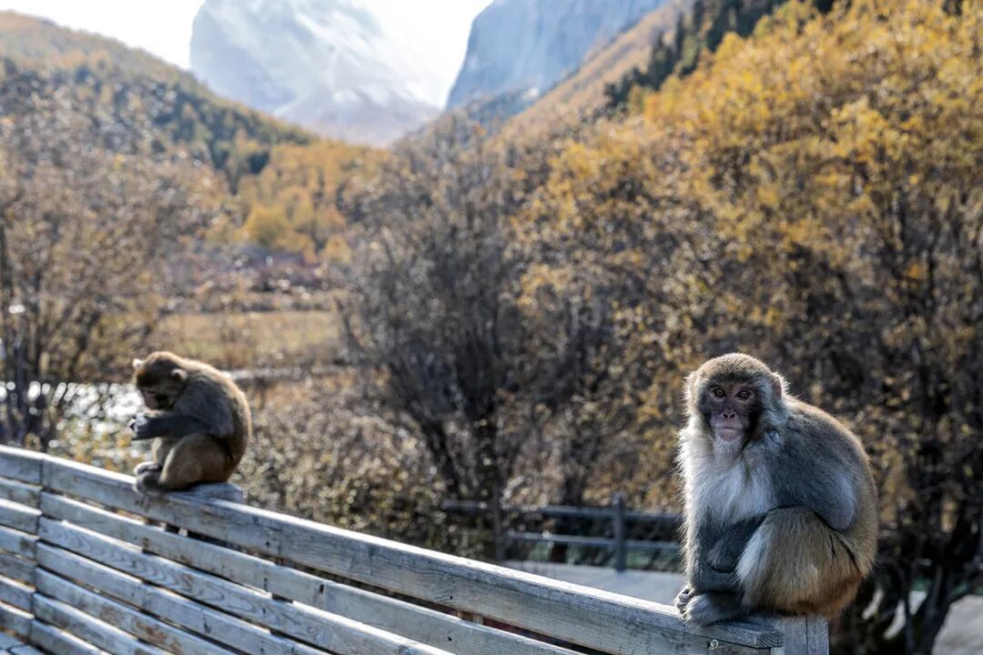 穿越冰峰 遇見稻城亞丁