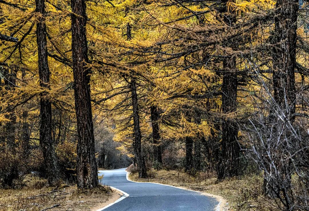 穿越冰峰 遇見稻城亞丁