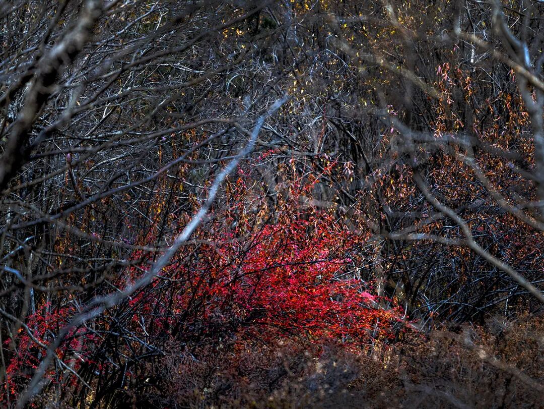 穿越冰峰 遇見稻城亞丁