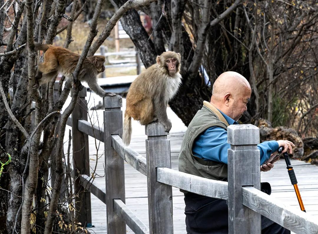 穿越冰峰 遇見稻城亞丁