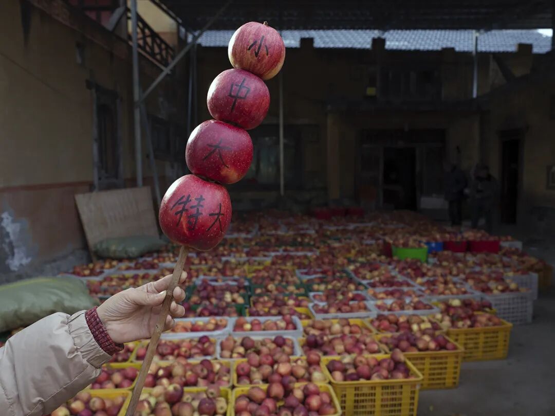 摘蘋果的時(shí)候