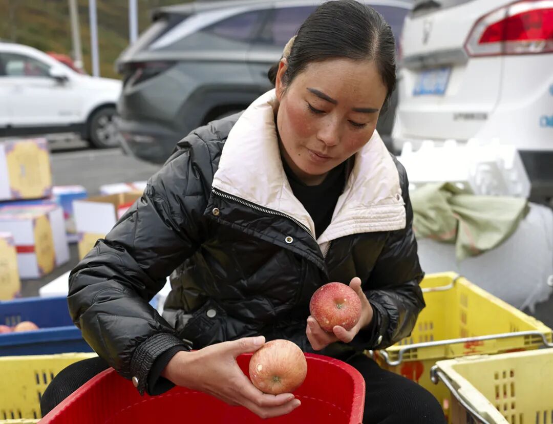 摘蘋果的時(shí)候