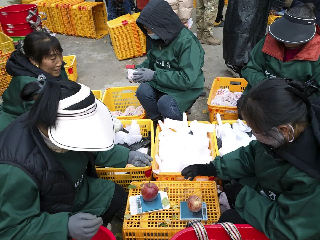 摘蘋果的時(shí)候 摘蘋果的時(shí)候