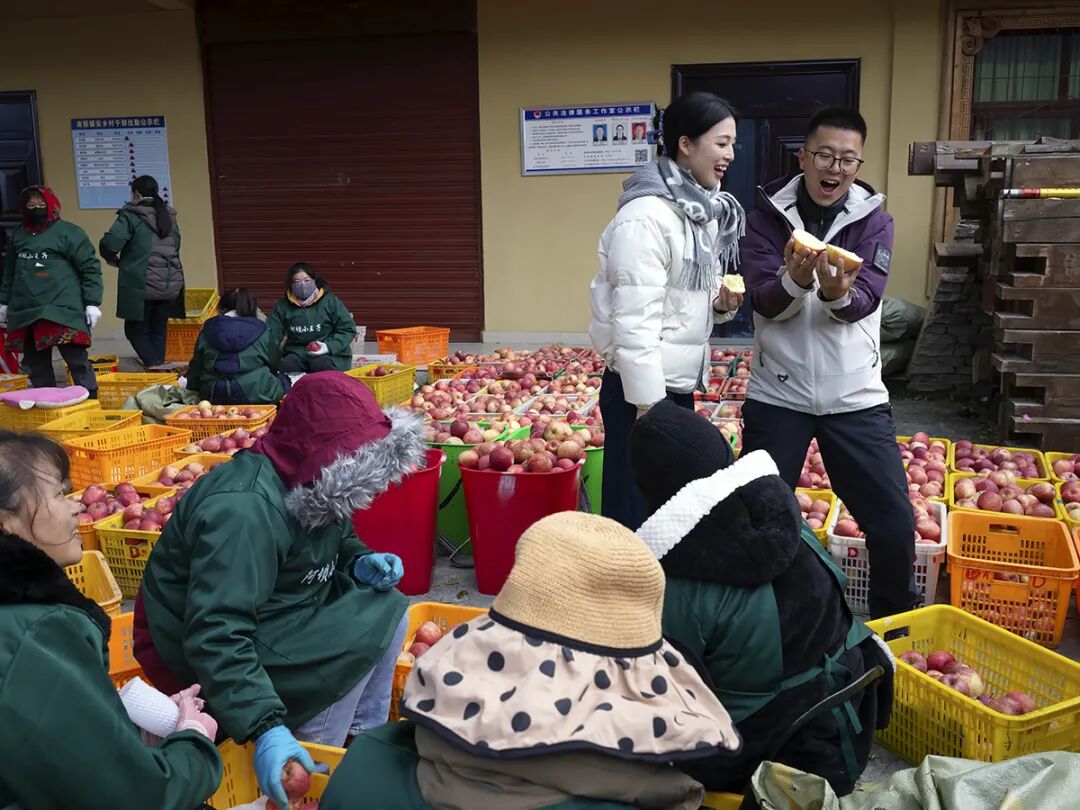 摘蘋果的時(shí)候