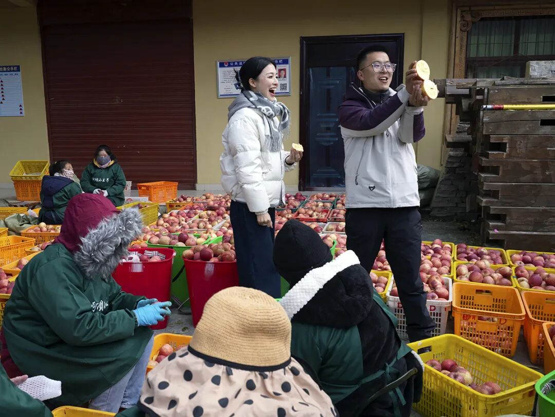 摘蘋果的時(shí)候 摘蘋果的時(shí)候