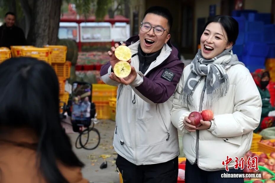 摘蘋果的時(shí)候 摘蘋果的時(shí)候