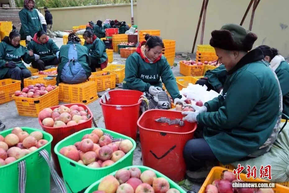 摘蘋果的時(shí)候 摘蘋果的時(shí)候