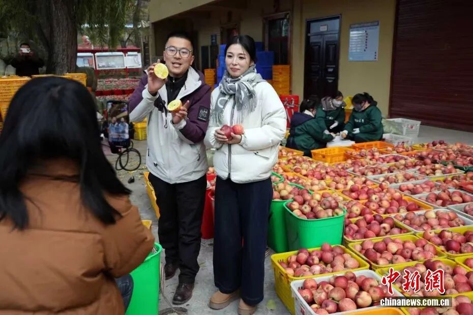 摘蘋果的時(shí)候