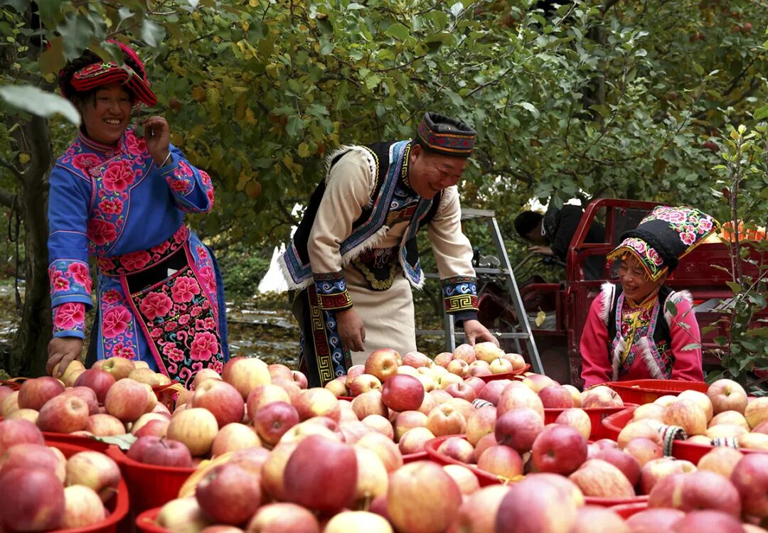 摘蘋果的時(shí)候