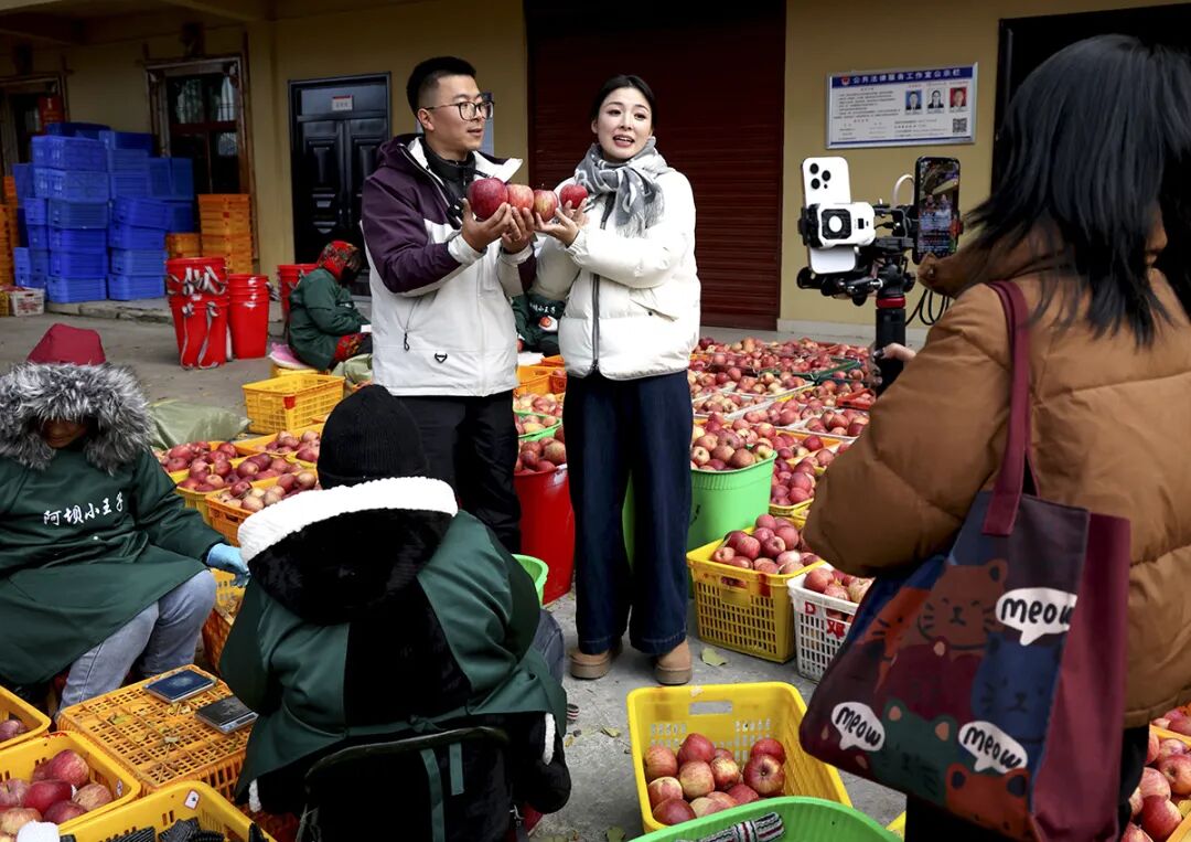 摘蘋果的時(shí)候 摘蘋果的時(shí)候