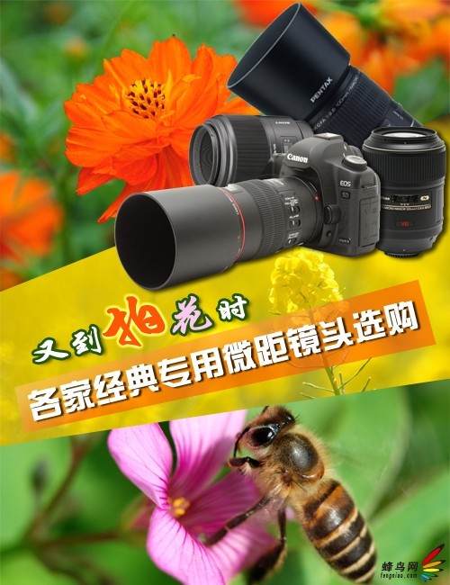 又到拍花時(shí) 各家經(jīng)典專用微距鏡頭選購