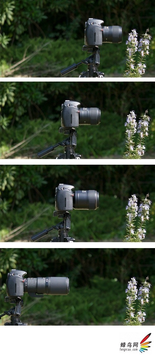 使用專用備1:1放大能力的專用微距鏡頭所拍攝的攝影作品