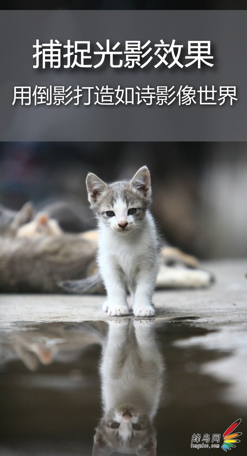 捕捉光影效果 用倒影打造如詩(shī)影像世界