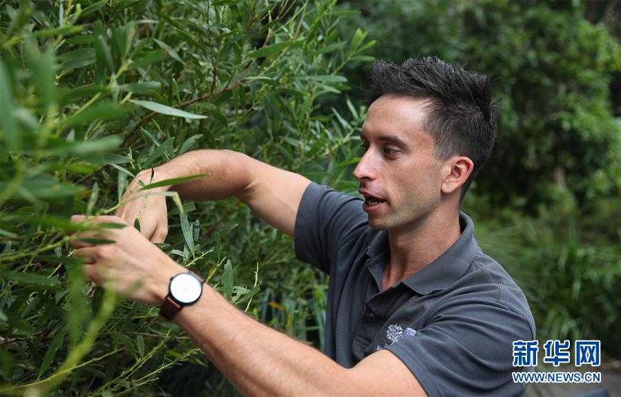 （國際·圖文互動）（2）通訊：繁華都市中的原住民文化守望者
