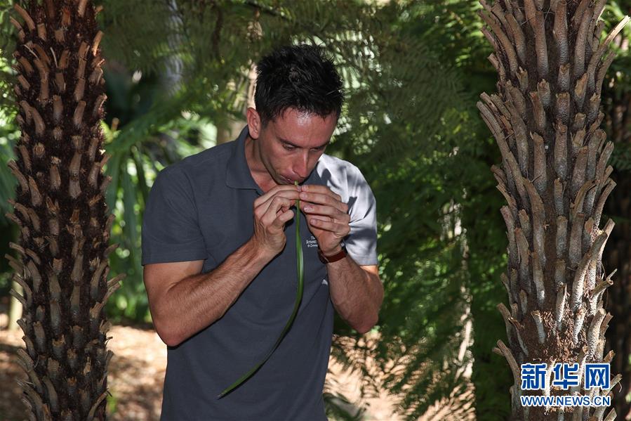 （國際·圖文互動）（5）通訊：繁華都市中的原住民文化守望者