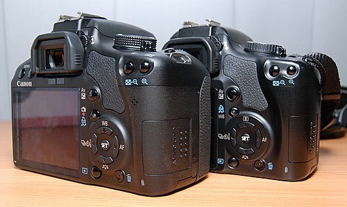 兄弟PK 佳能EOS500D與450D真機外觀對比