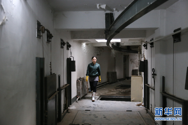 90后女飼養(yǎng)員和她的“大貓”