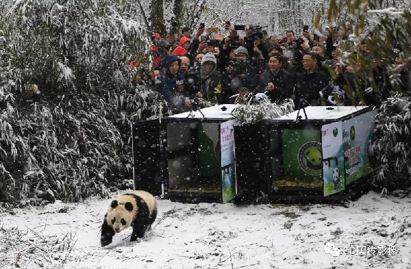 中國日報(bào)2018年度國際傳播圖片