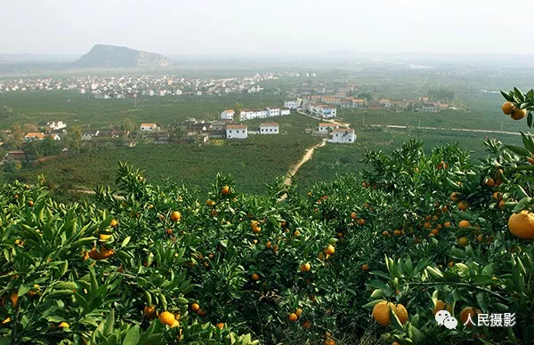 人民攝影官宣 | 