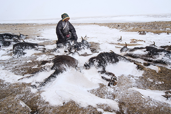 人民攝影“金鏡頭”(2019年度)新聞攝影作品評選圓滿結(jié)束