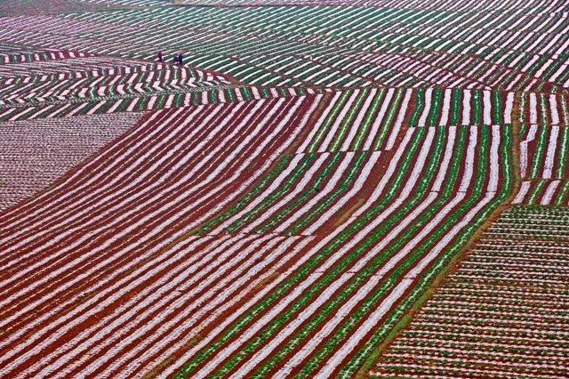運(yùn)用線條的魅力