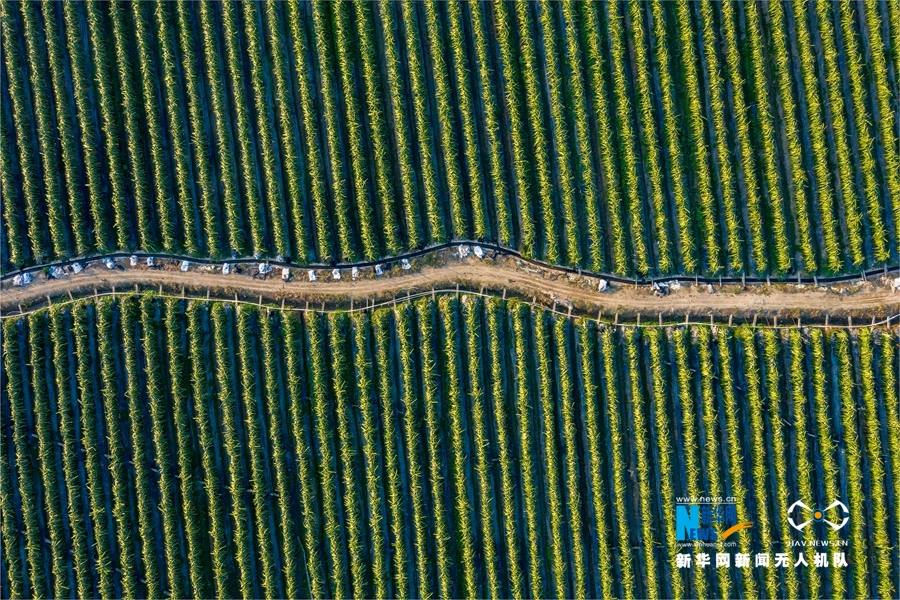 廣西岑溪：青山環(huán)抱鄉(xiāng)村如畫