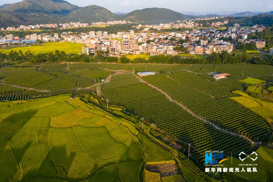 廣西岑溪：青山環(huán)抱鄉(xiāng)村如畫