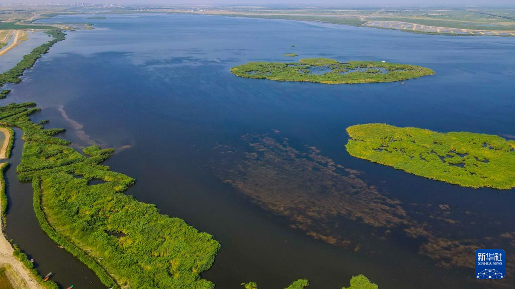 飛“閱”視角看天下