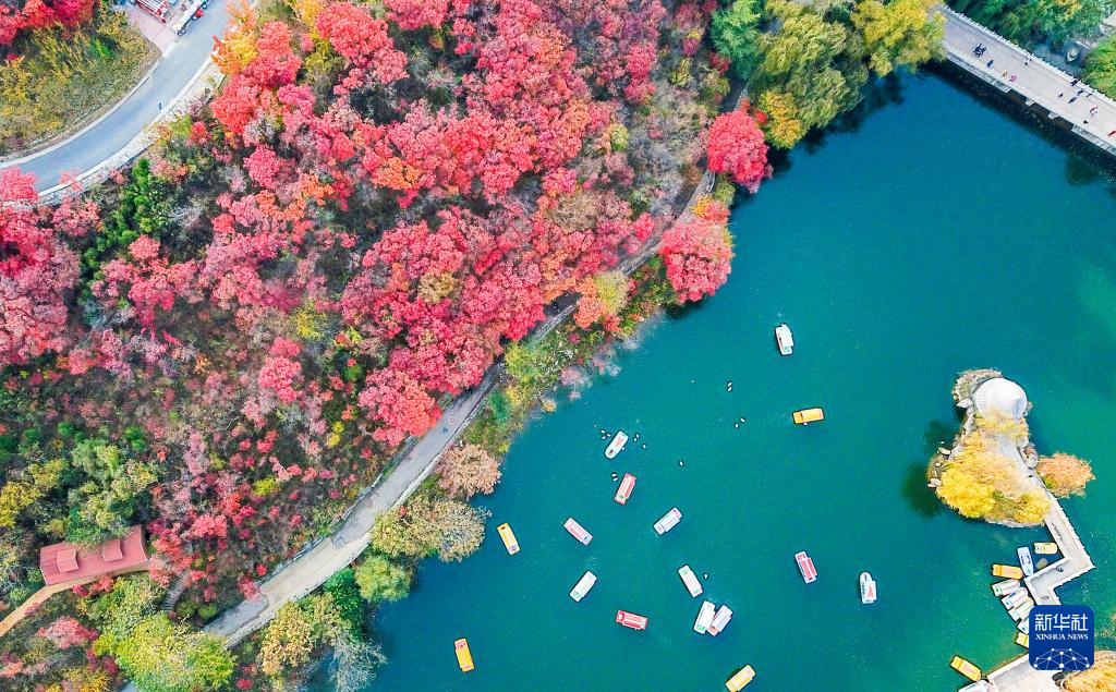 漫山斑斕 層林盡染