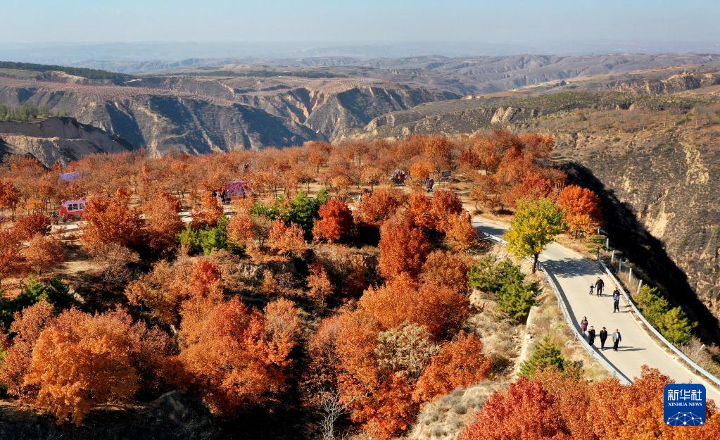 漫山斑斕 層林盡染