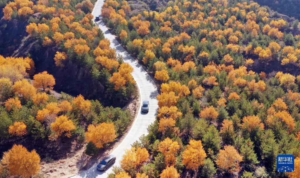 漫山斑斕 層林盡染