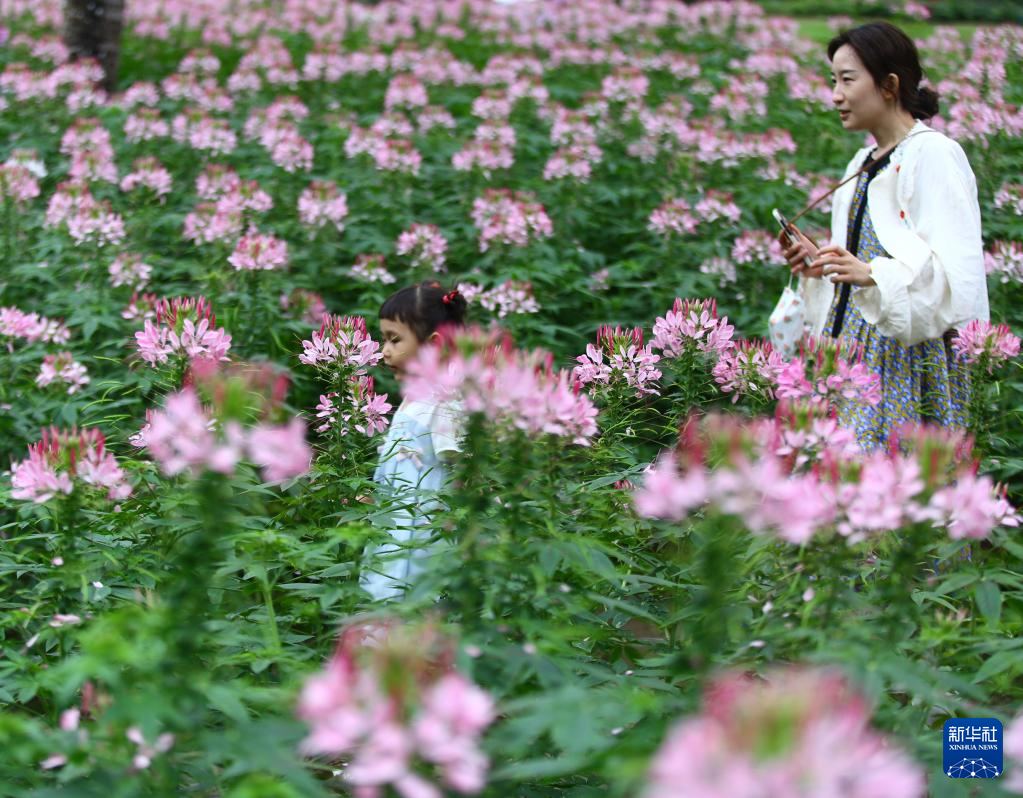 足不出戶(hù)！鏡頭帶你樂(lè)享各地多彩假期
