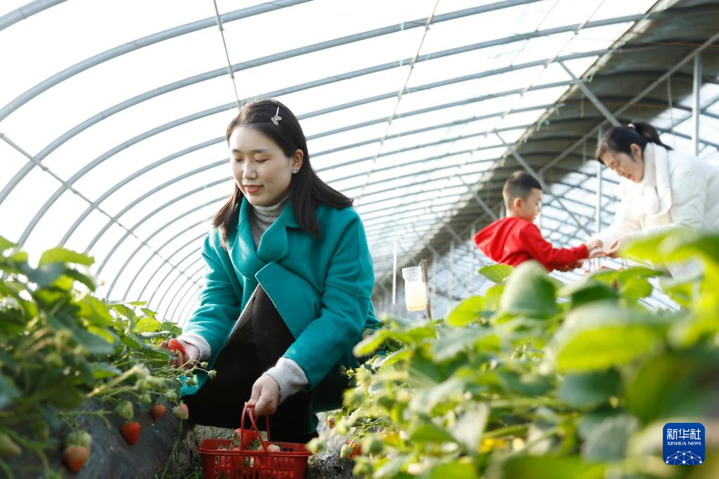 足不出戶(hù)！鏡頭帶你樂(lè)享各地多彩假期