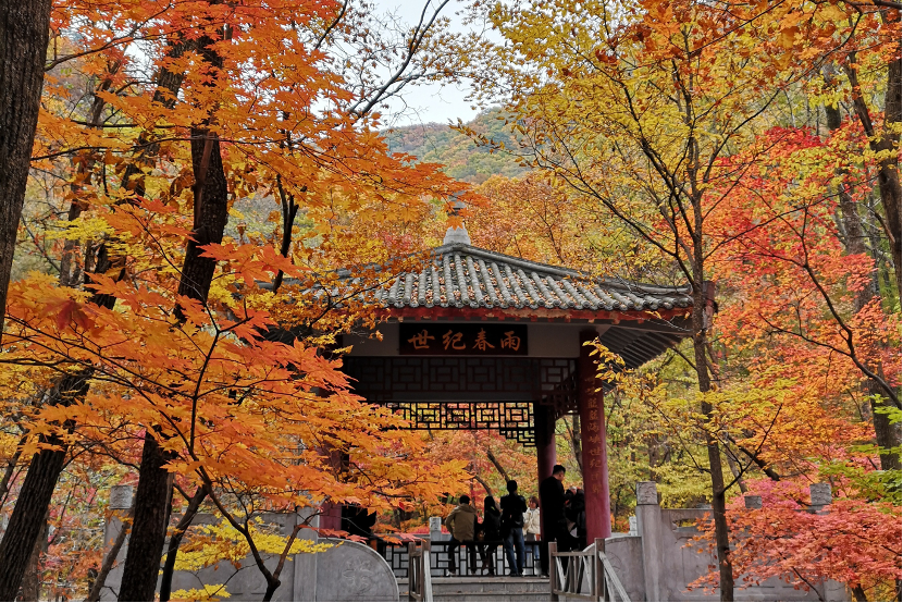 “大美中國 氣象萬千”主題宣傳活動作品征集
