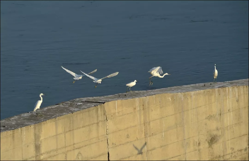 最美麗的家鄉(xiāng)河——漢江