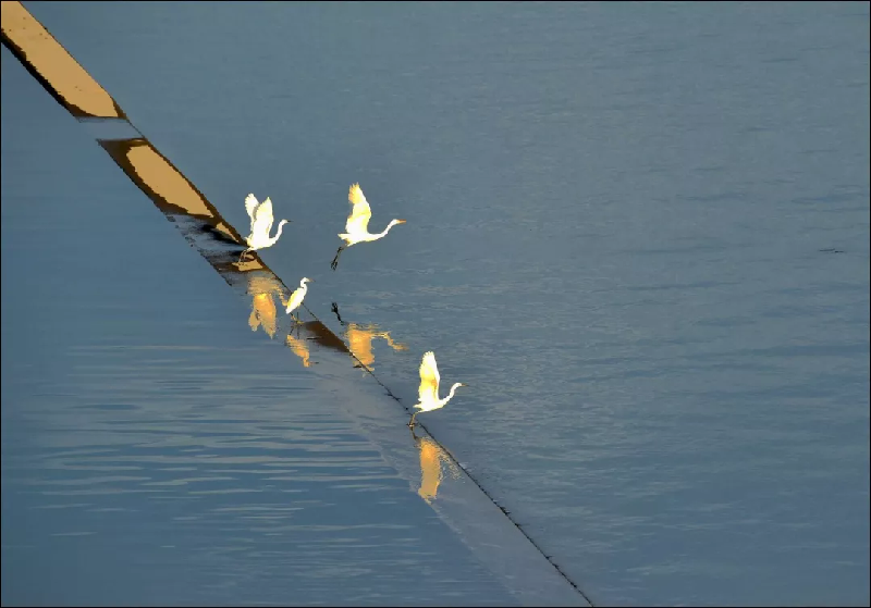 最美麗的家鄉(xiāng)河——漢江