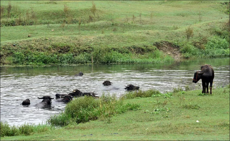 最美麗的家鄉(xiāng)河——漢江