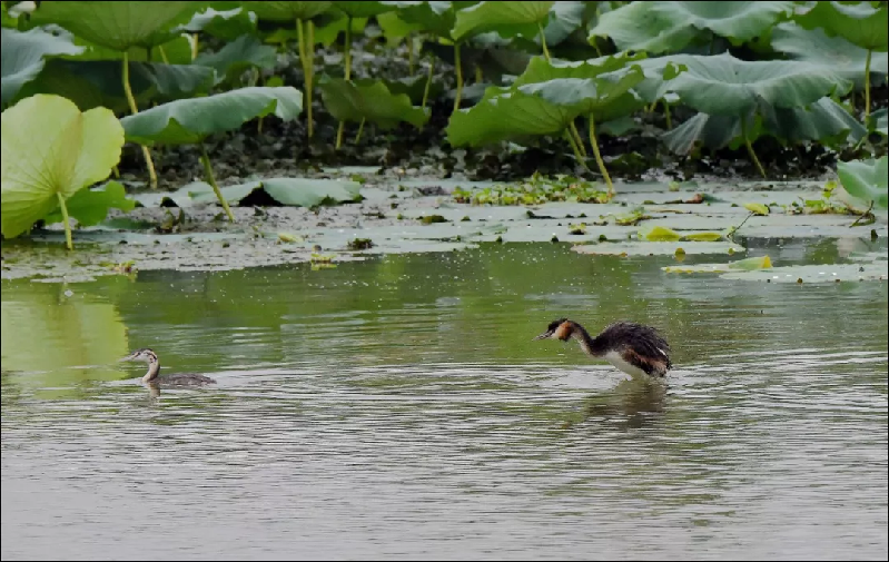 最美麗的家鄉(xiāng)河——漢江